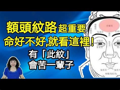 額頭上的細毛|【額頭上的細毛】揭秘額頭上的細毛！它們會變成頭髮嗎？